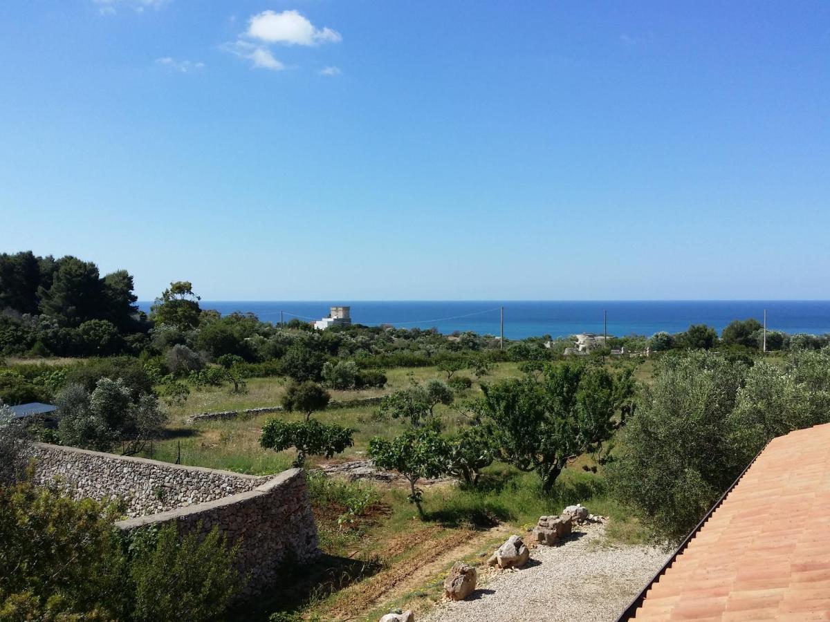 Antica Masseria Ficazzana - Tenuta