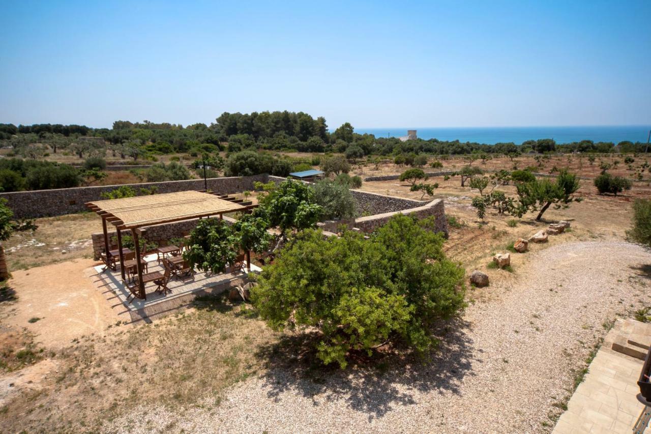 Antica Masseria Ficazzana - Tenuta